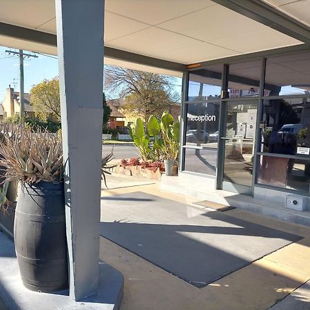 Country Motor Inn Singleton Extérieur photo